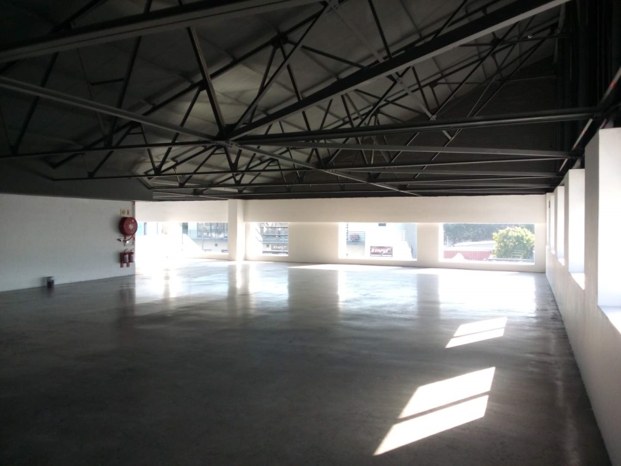 To Let commercial Property for Rent in Diep River Western Cape